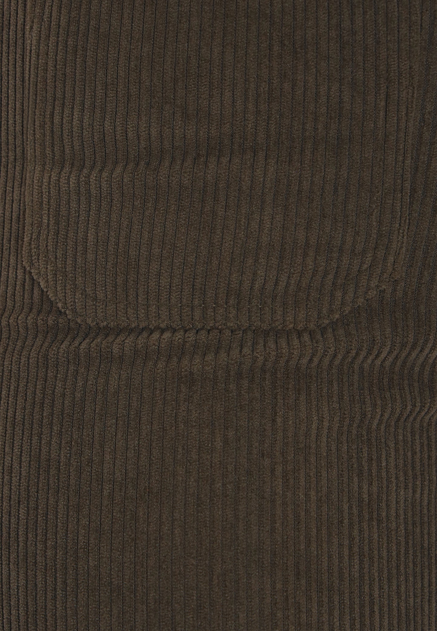 usha Women's Pants