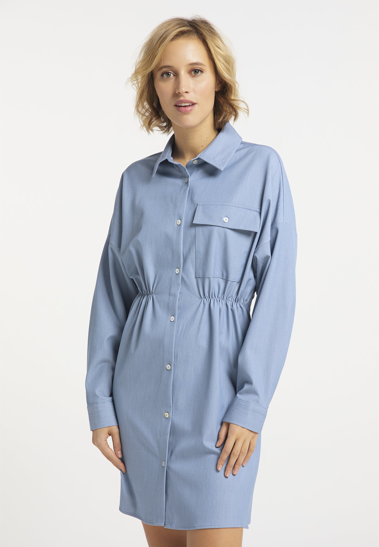 usha BLUE LABEL Women's Dress