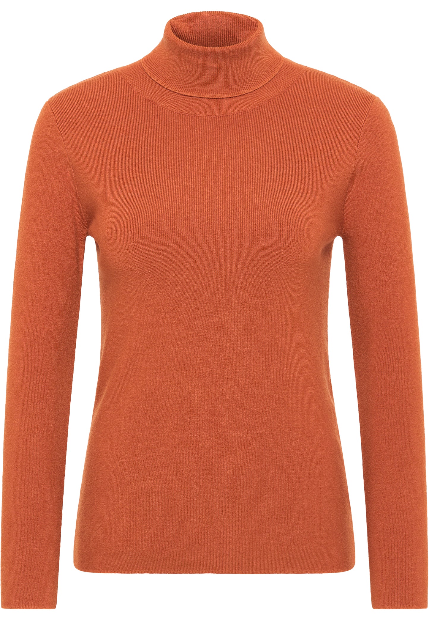 usha Women's Turtleneck Sweater