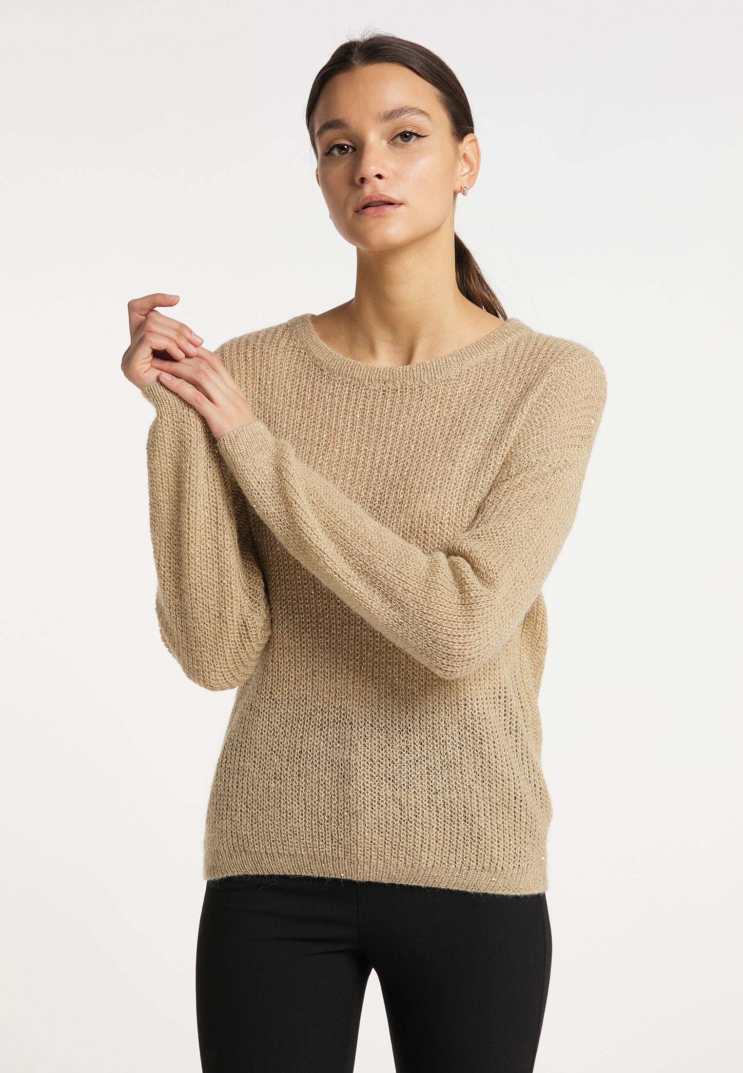 usha BLACK LABEL Women's Crew Neck Sweater