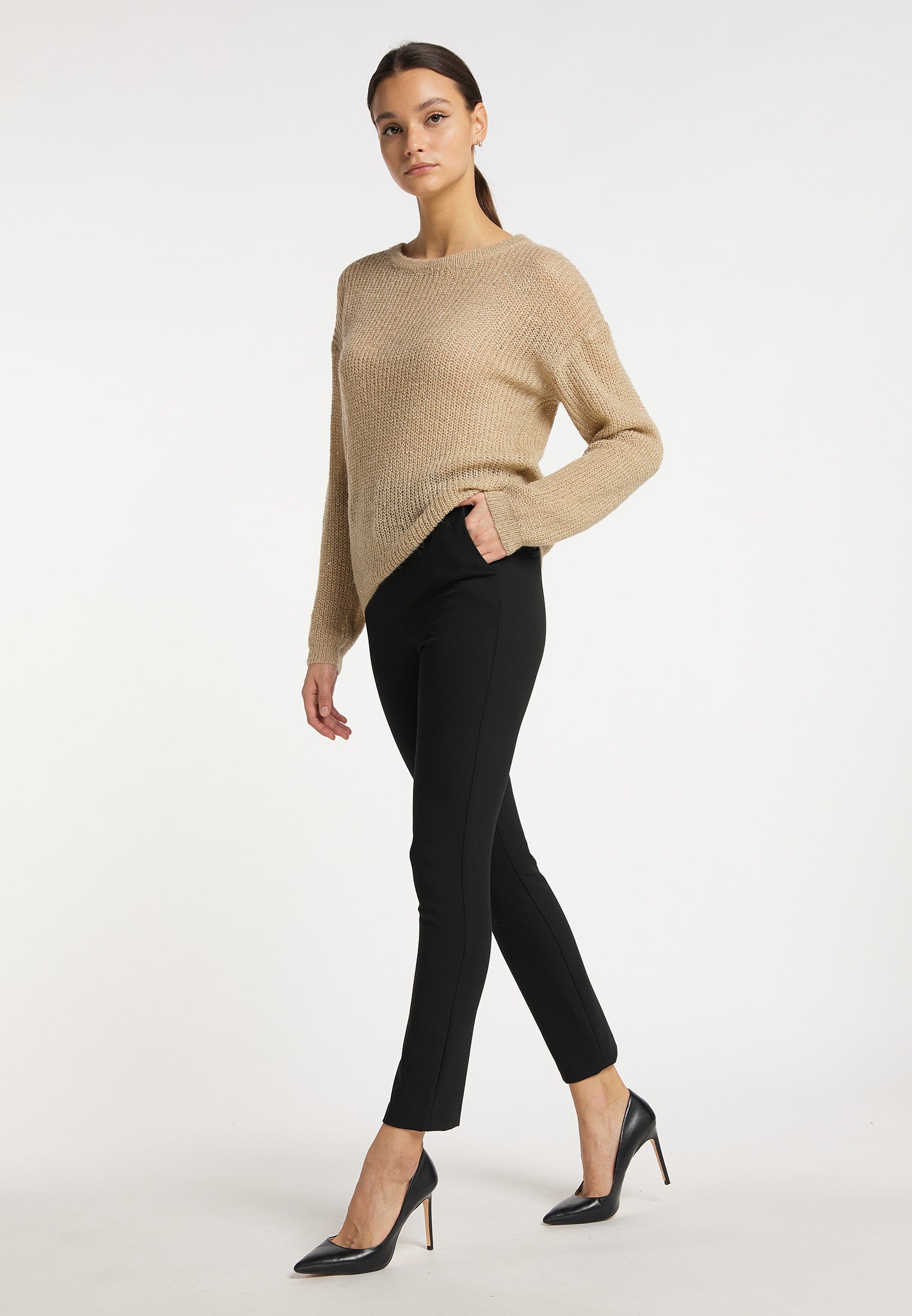 usha BLACK LABEL Women's Crew Neck Sweater