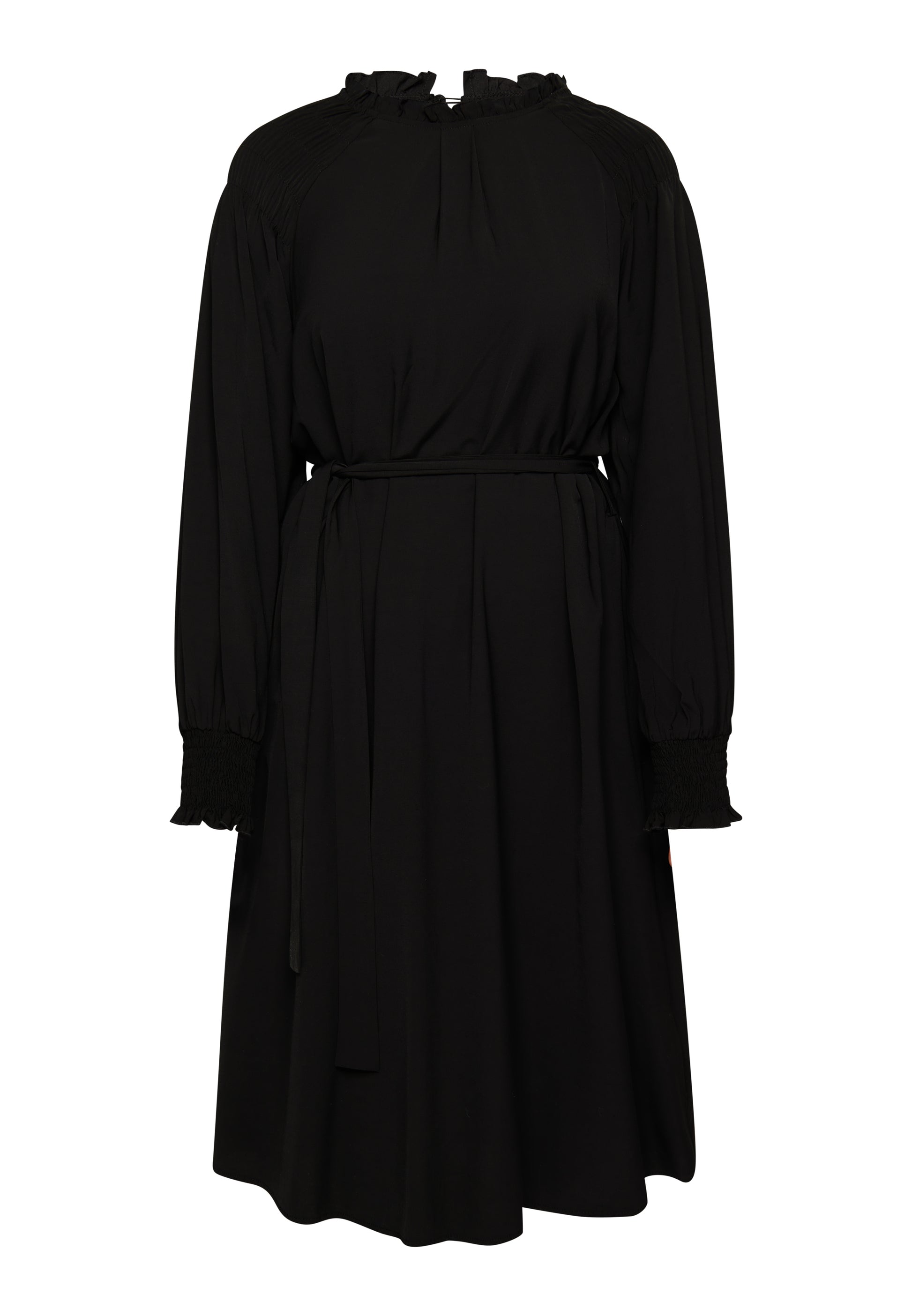 usha Women's Midi Dress