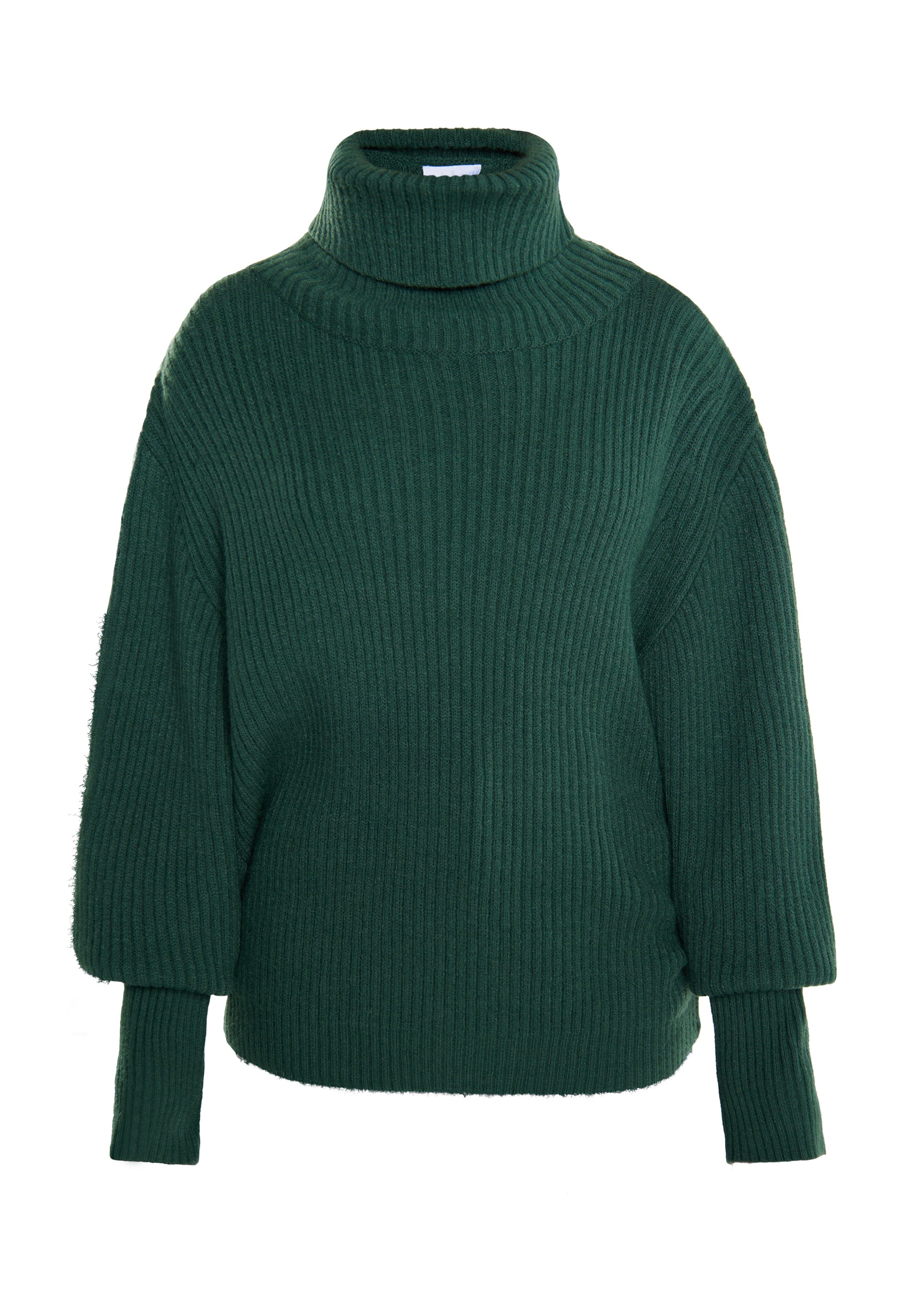 usha WHITE LABEL Women's Turtleneck Sweater