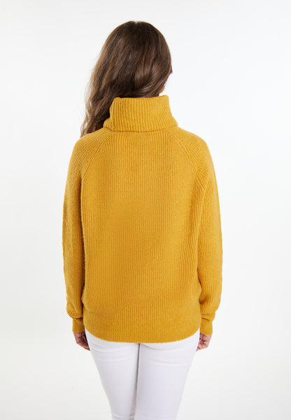 usha Women's Knitted Sweater