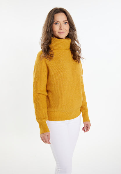 usha Women's Knitted Sweater