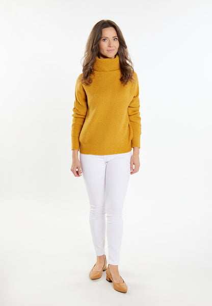 usha Women's Knitted Sweater