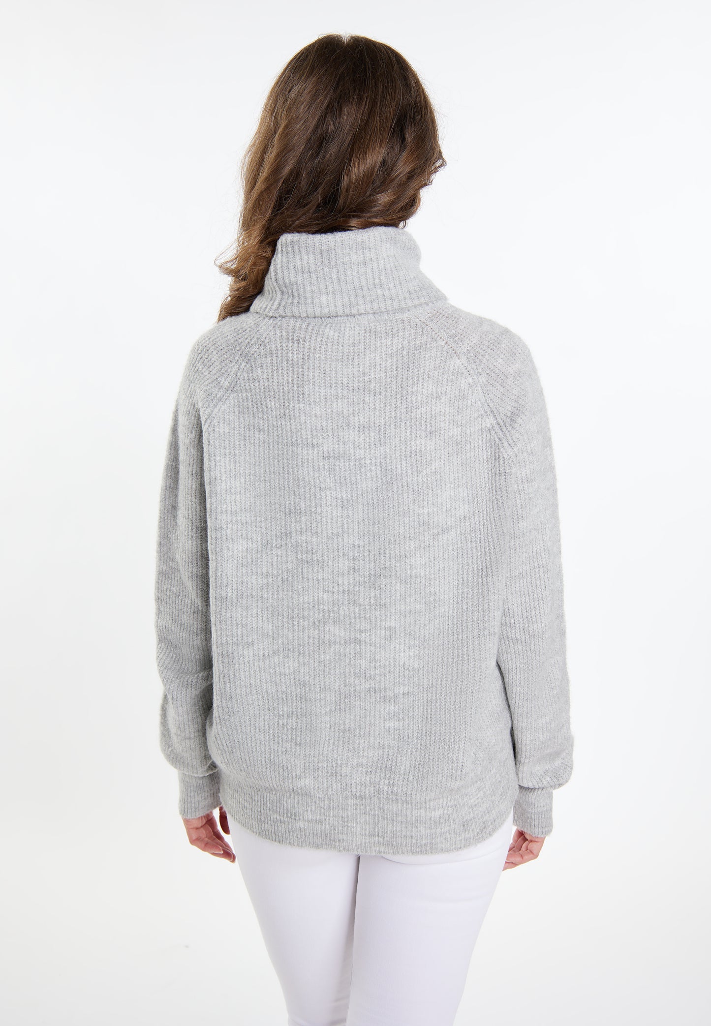 usha Women's Knitted Sweater