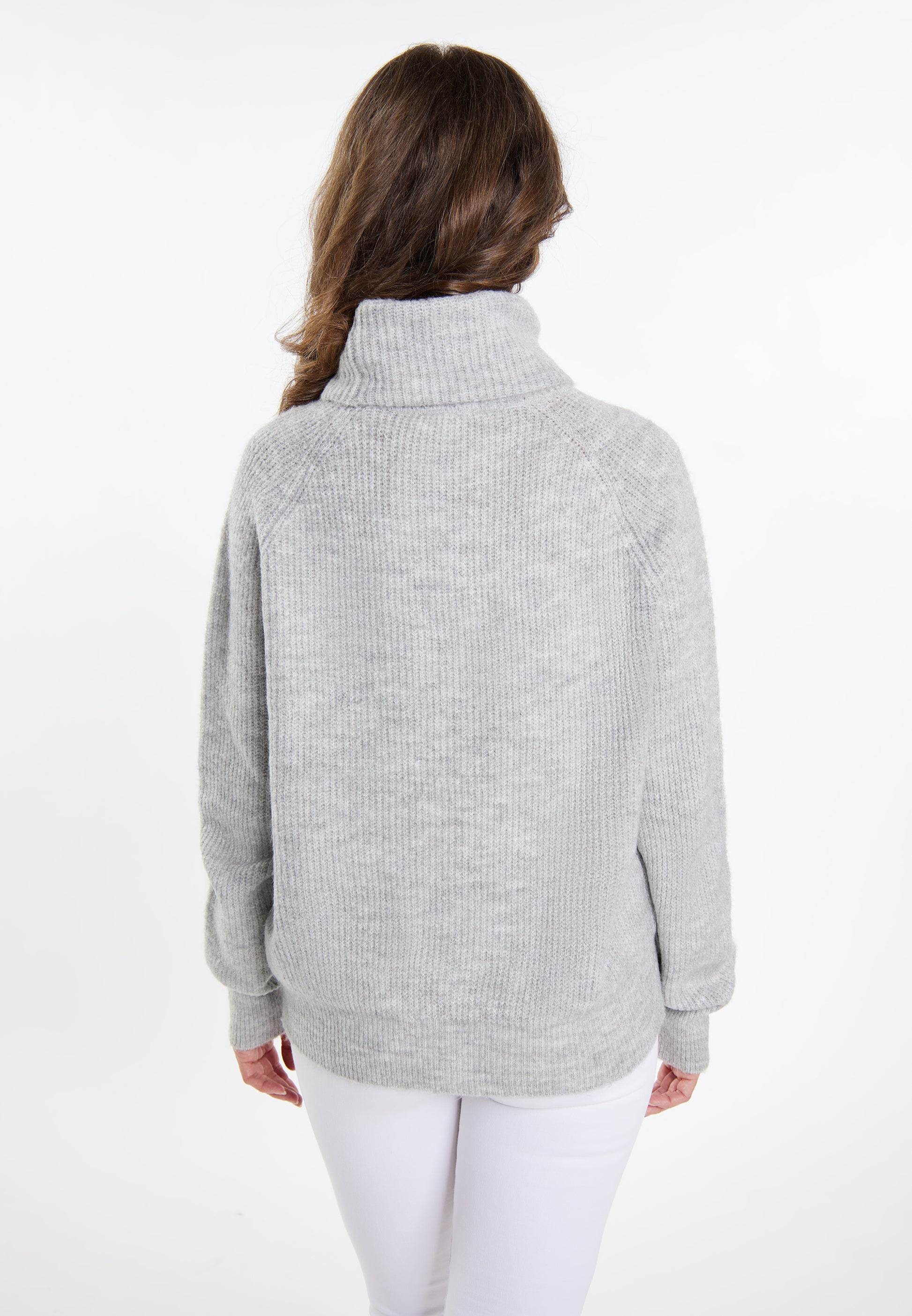 usha Women's Knitted Sweater
