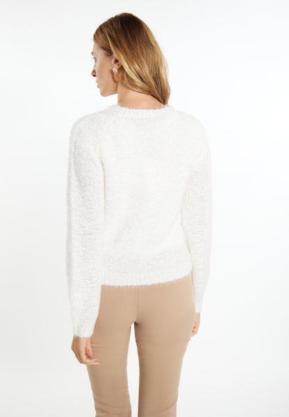usha Women's Knitted Sweater