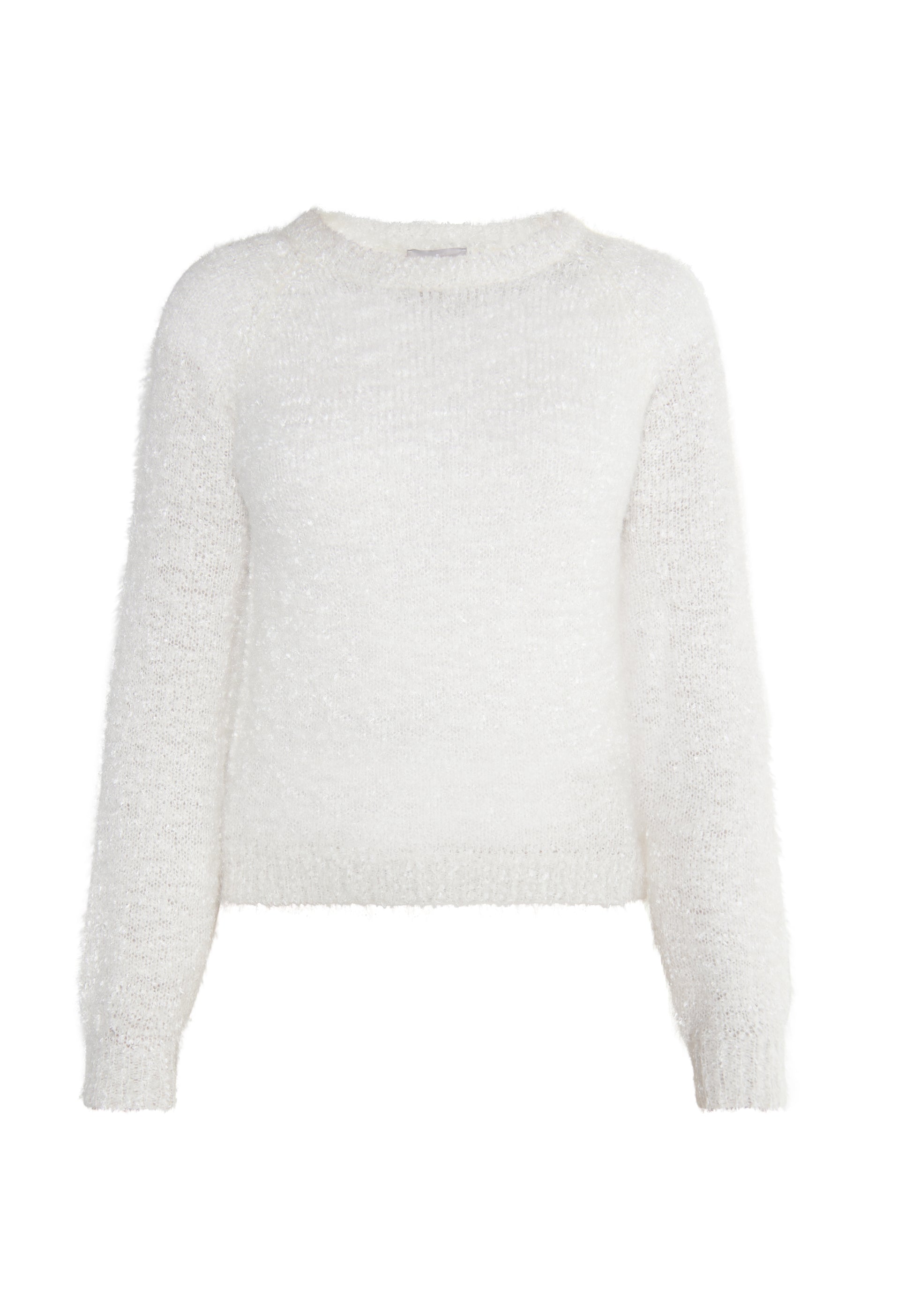 usha Women's Knitted Sweater