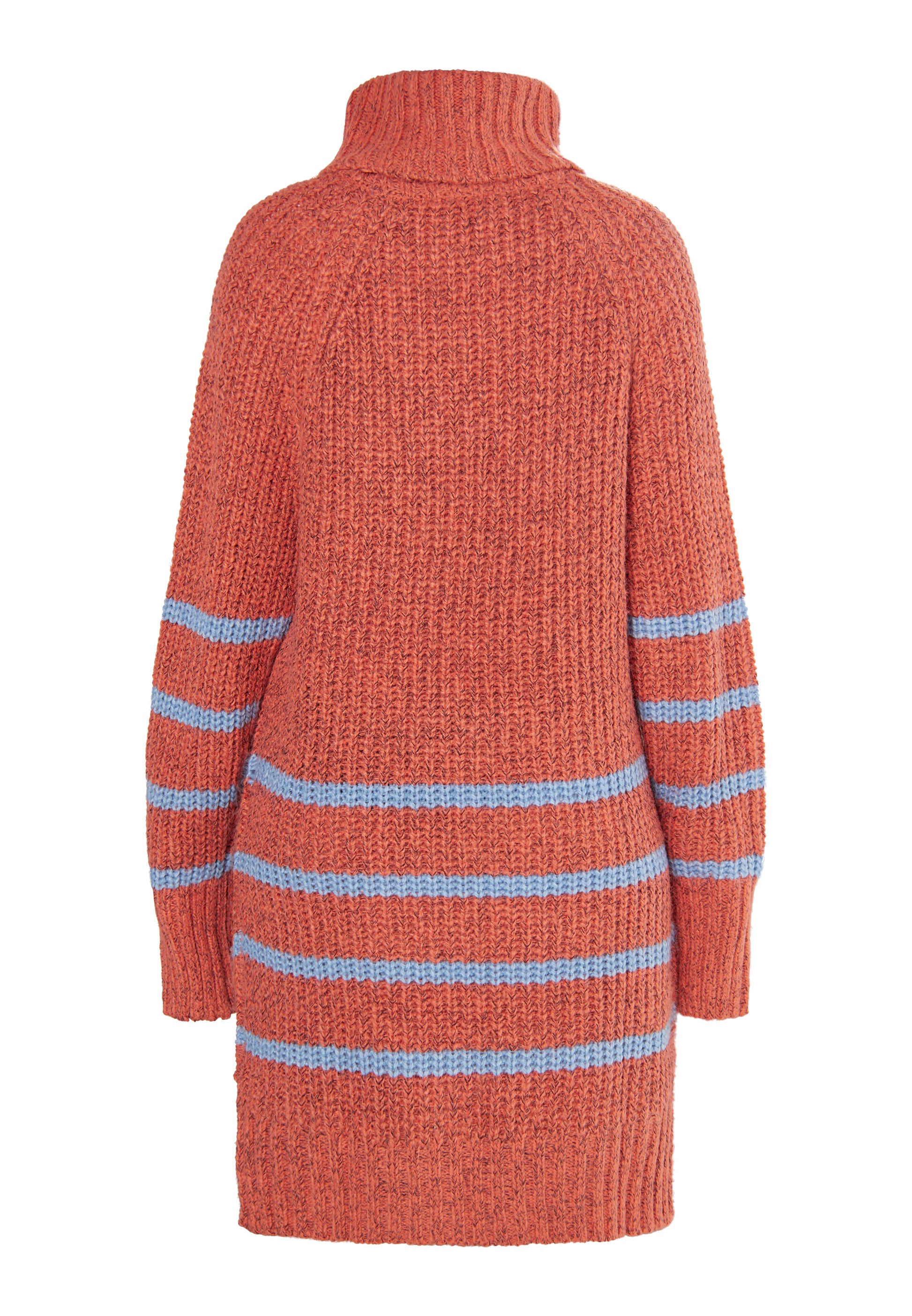 usha BLUE LABEL Women's Knitted Sweater