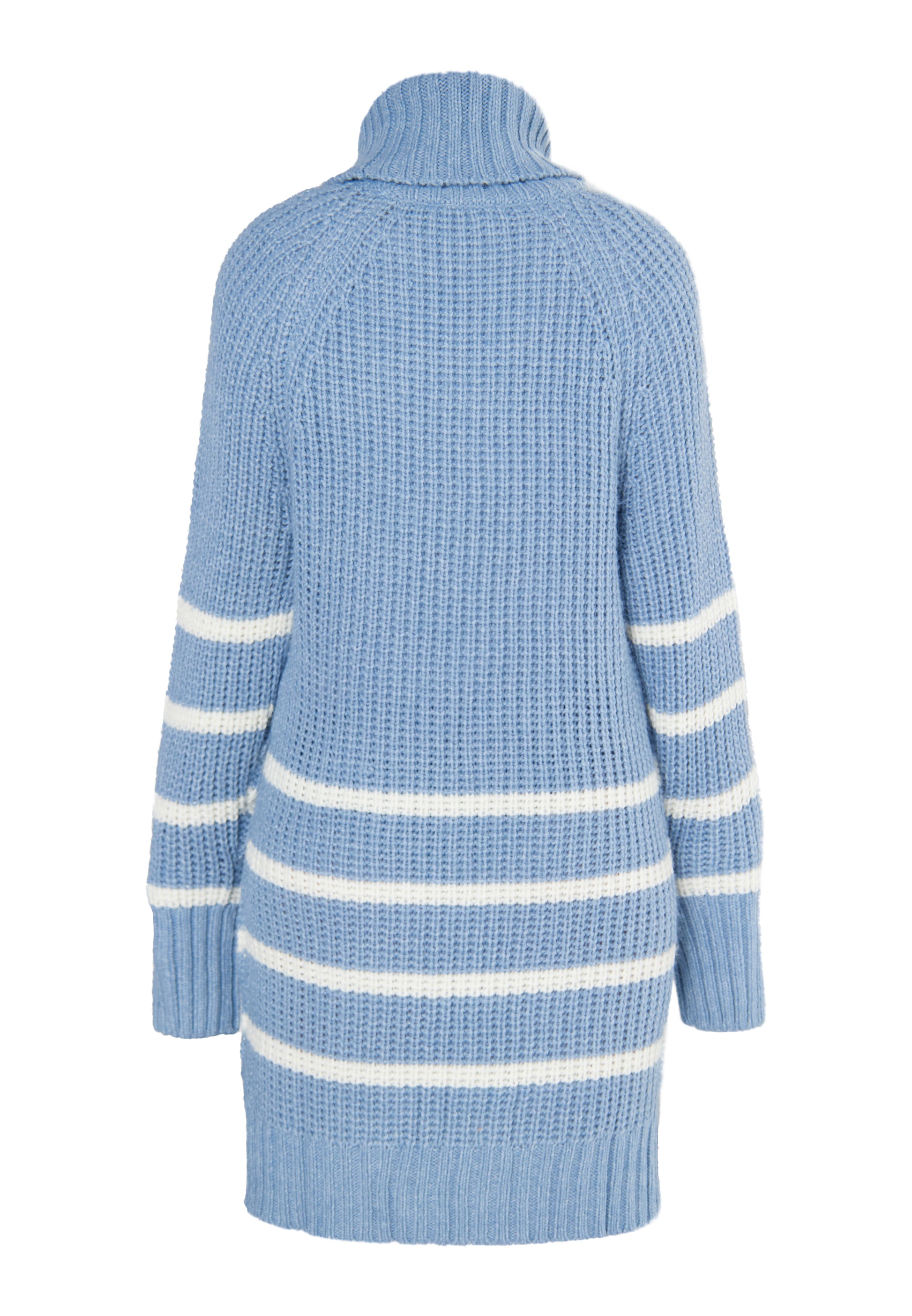usha BLUE LABEL Women's Knitted Sweater