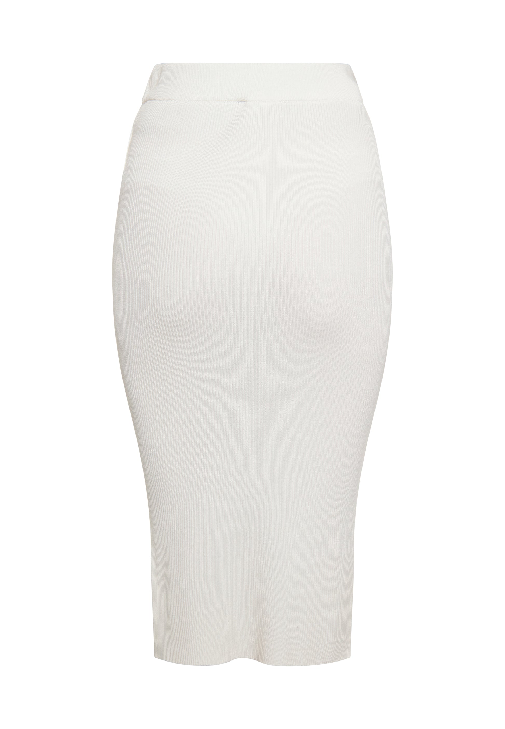 usha BLACK LABEL Women's Skirt