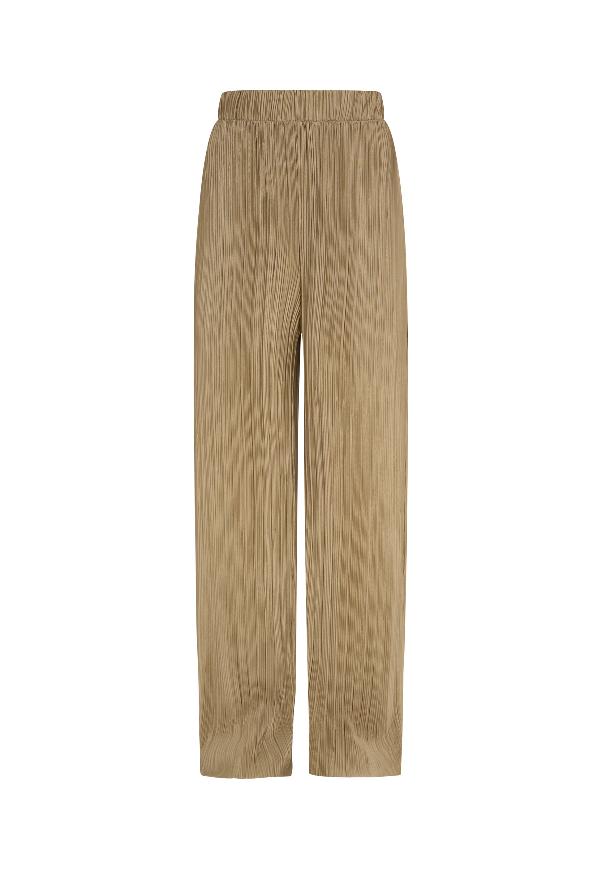 usha WHITE LABEL Women's Pants