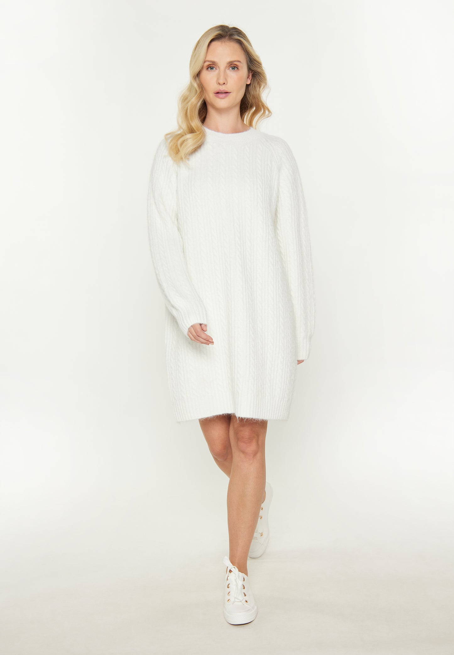 usha BLUE LABEL Women's Dress