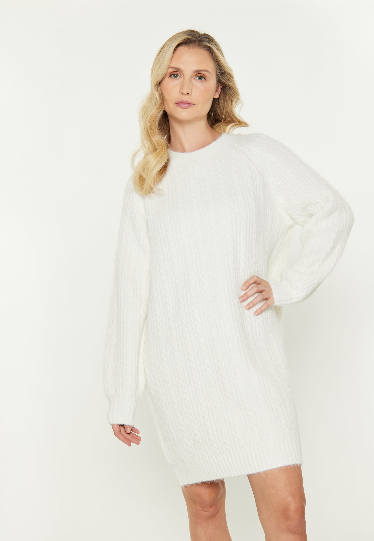 usha BLUE LABEL Women's Dress