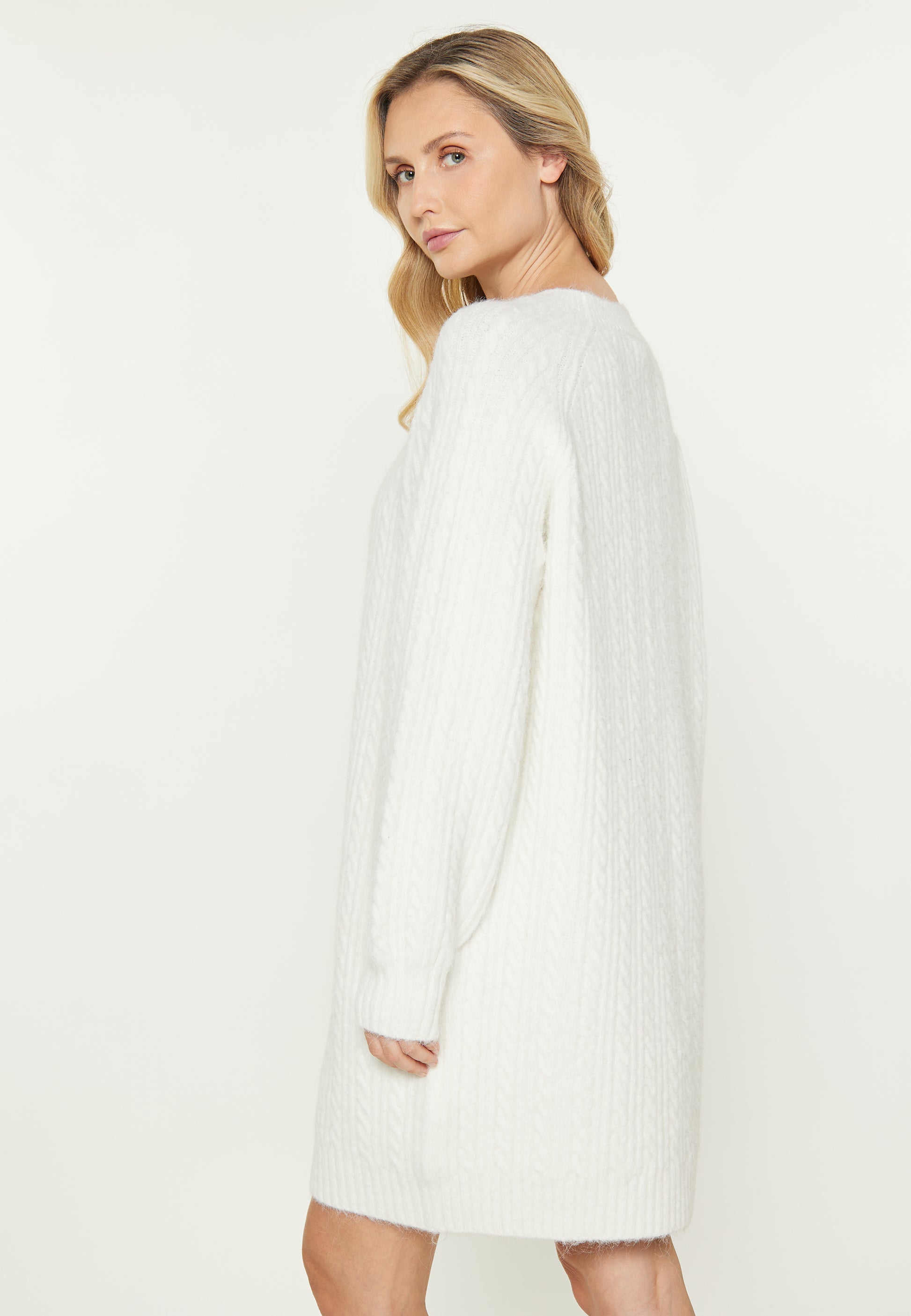 usha BLUE LABEL Women's Dress