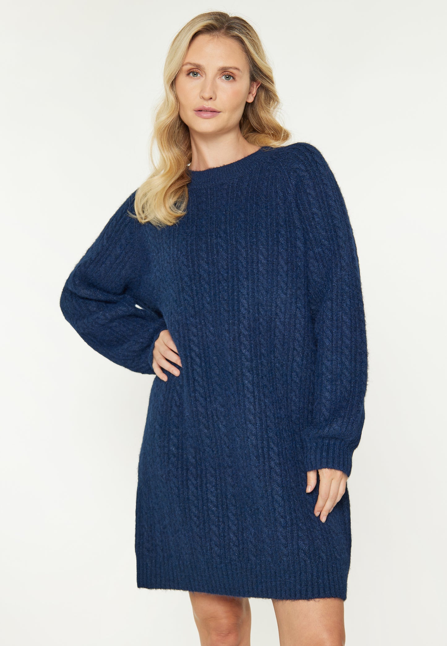 usha BLUE LABEL Women's Dress