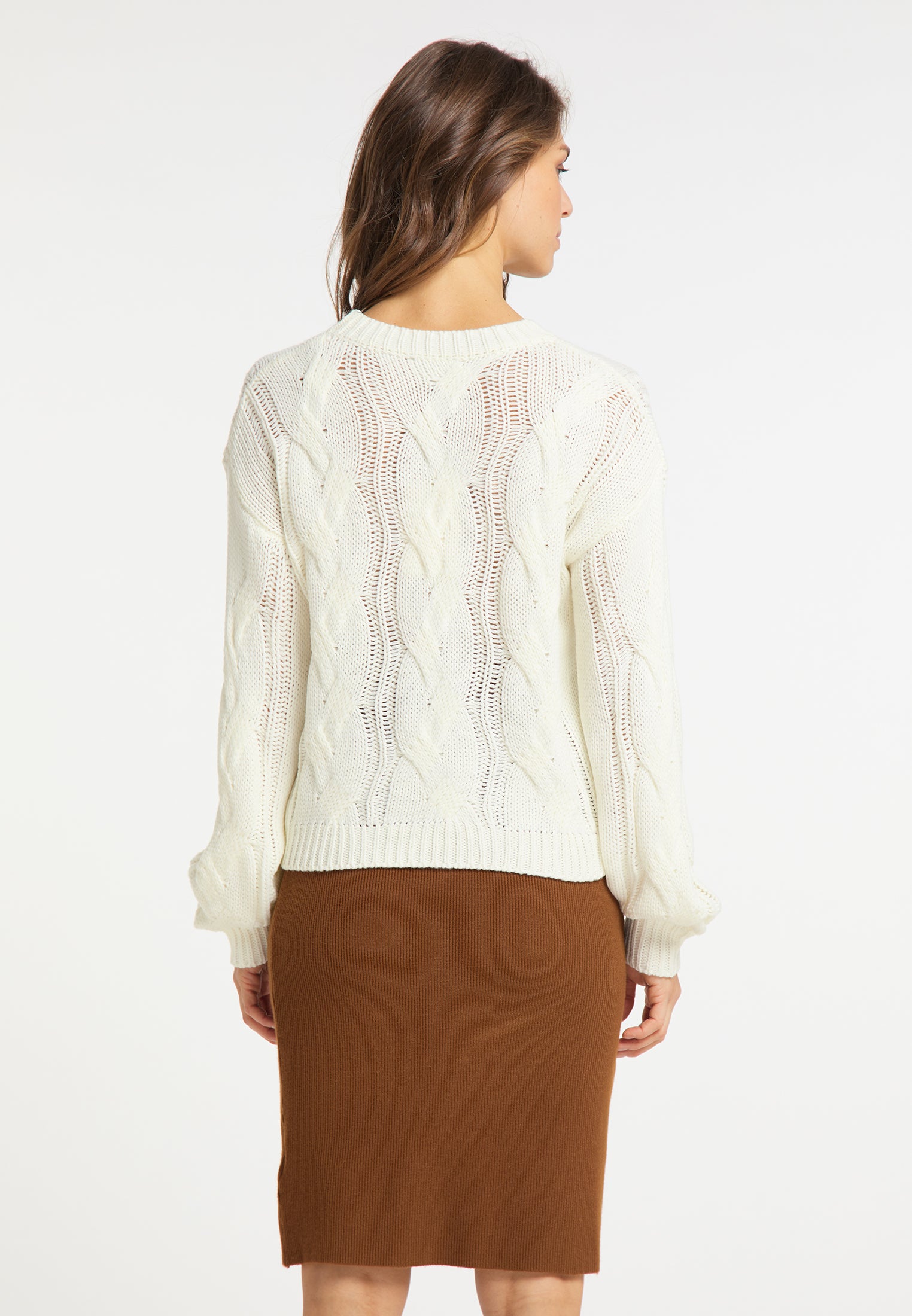 usha Women's Knitted Sweater