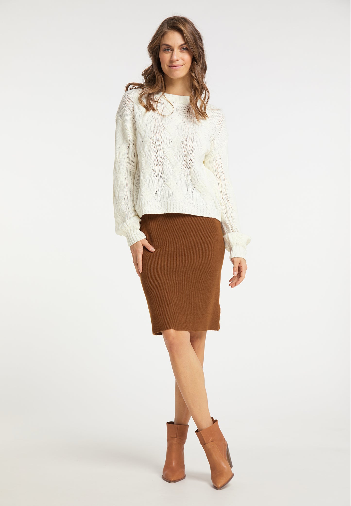 usha Women's Knitted Sweater