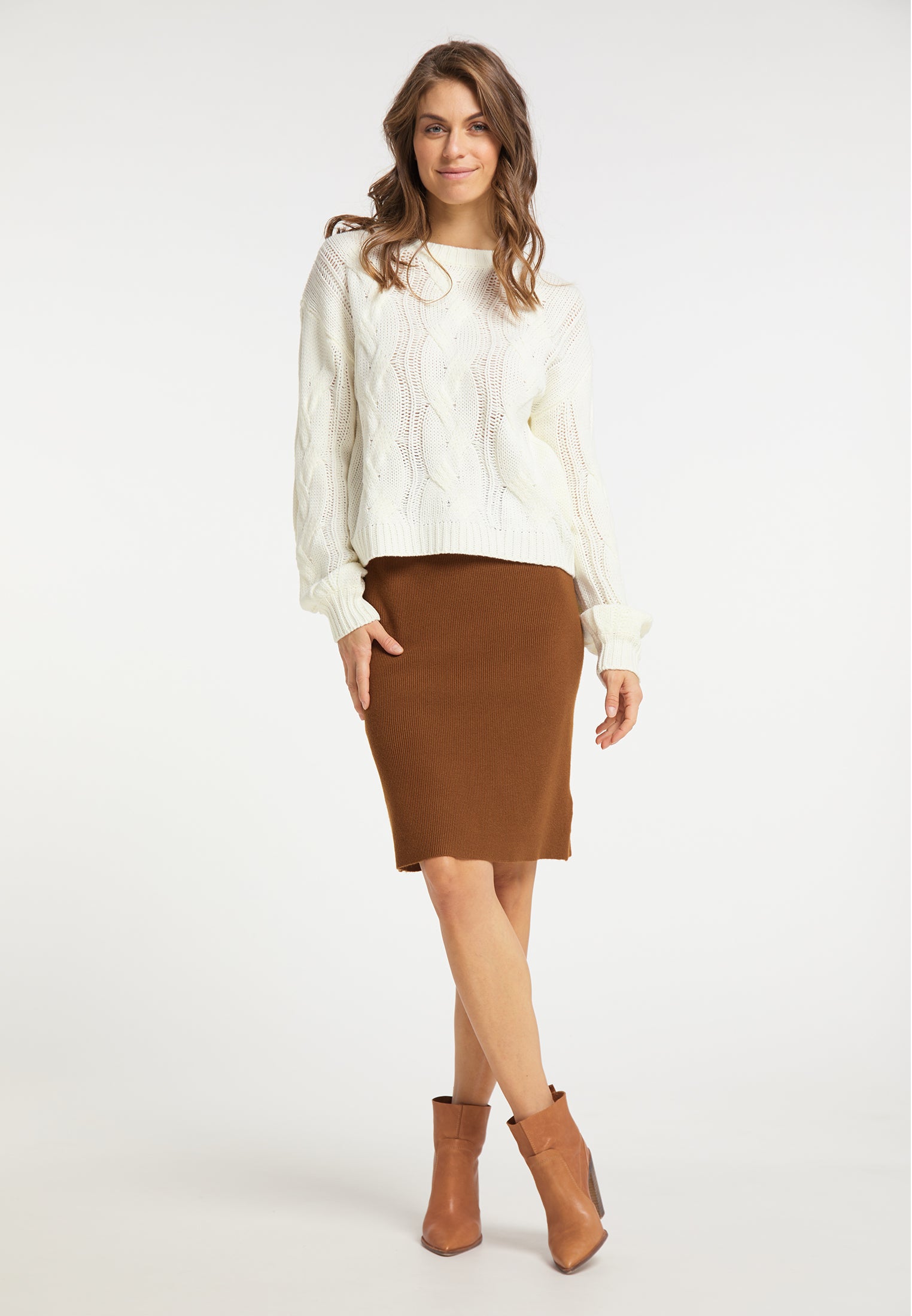 usha Women's Knitted Sweater